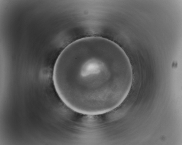 X0000102770672200808251053