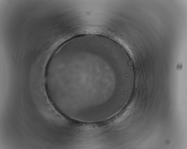 X0000102770673200808251052