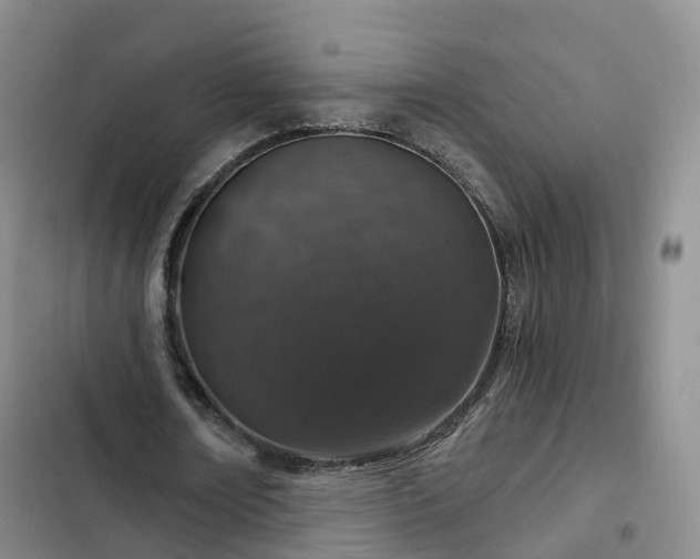 X0000102770674200808251052