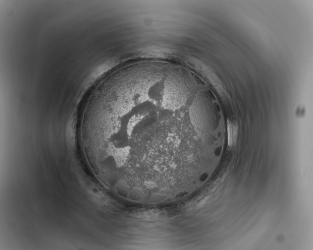 X0000102770675200808251052