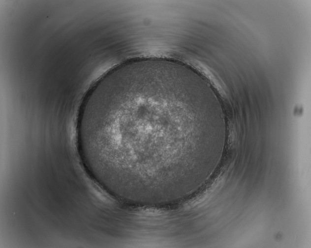 X0000102770677200808251052