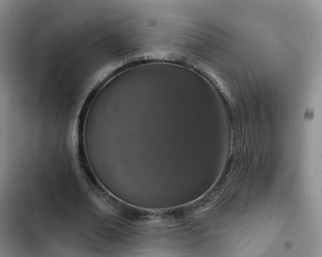 X0000102770678200808251052