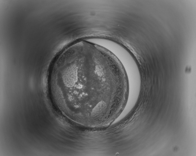 X0000102770679200808251052