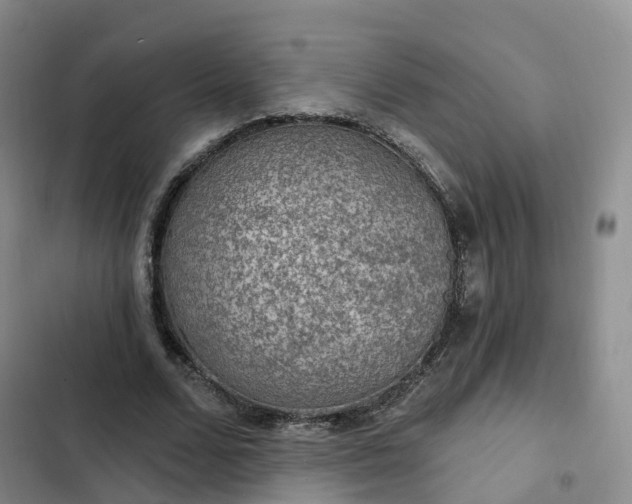 X0000102770680200808251052