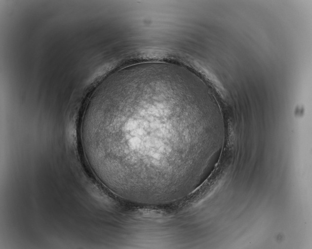 X0000102770681200808251052