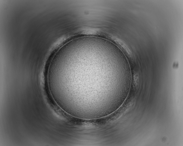 X0000102770682200808251052