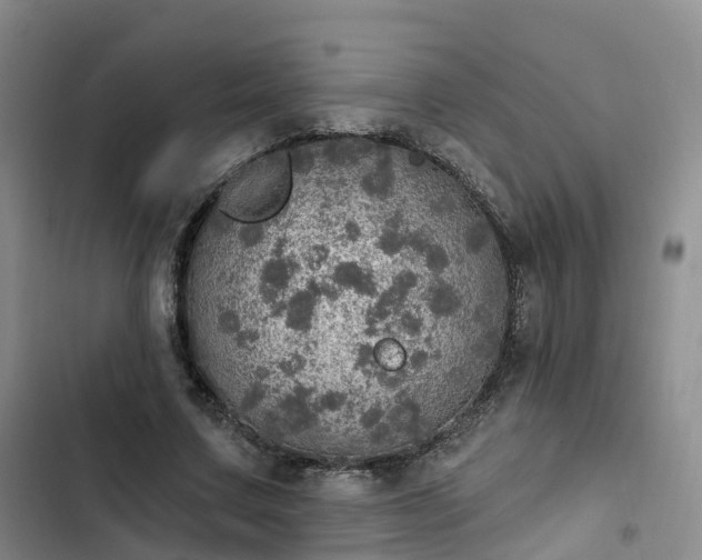 X0000102770683200808251052