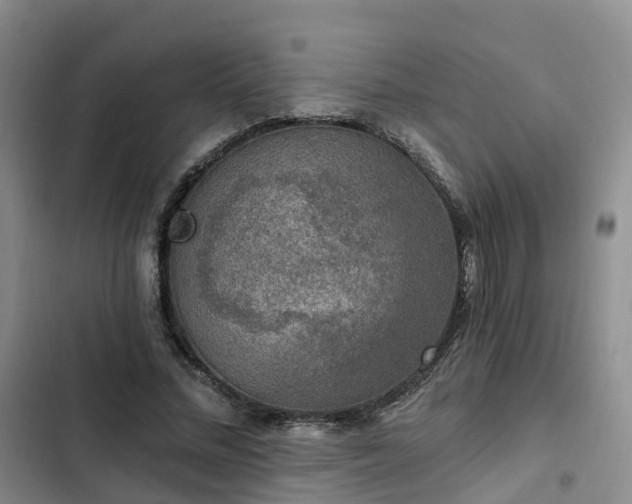 X0000102770684200808251052