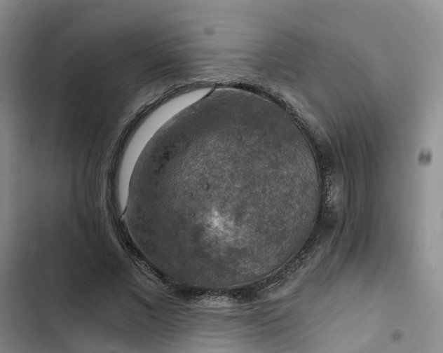 X0000102770685200808251052