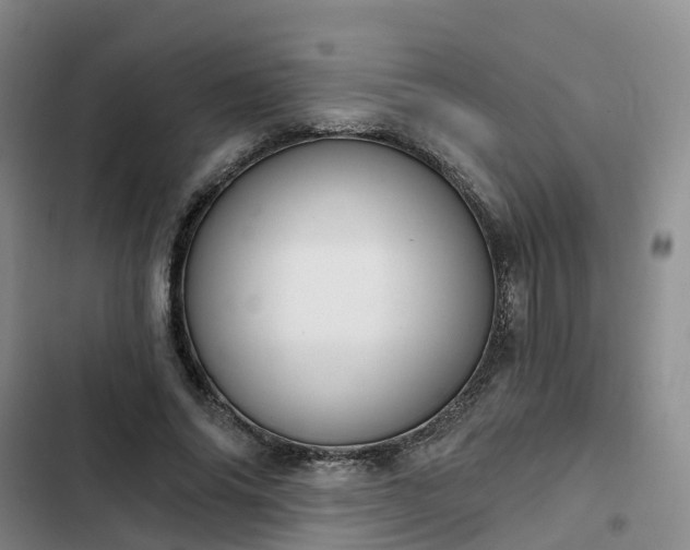 X0000102770686200808251052