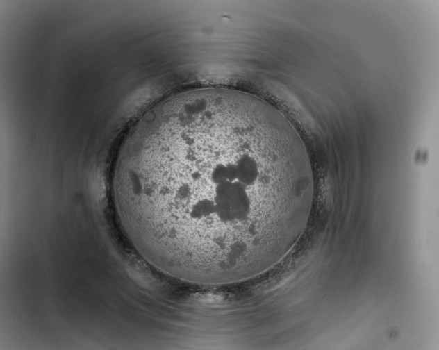 X0000102770687200808251052