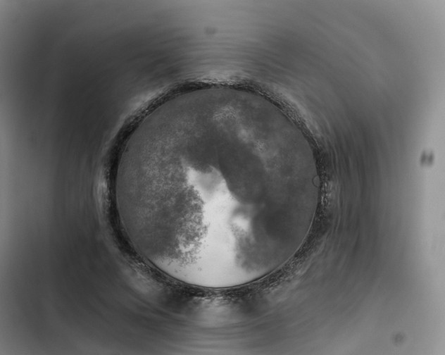 X0000102770688200808251052