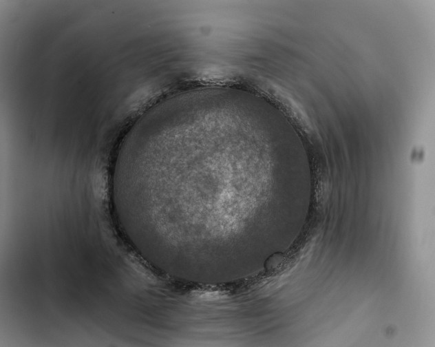 X0000102770689200808251052