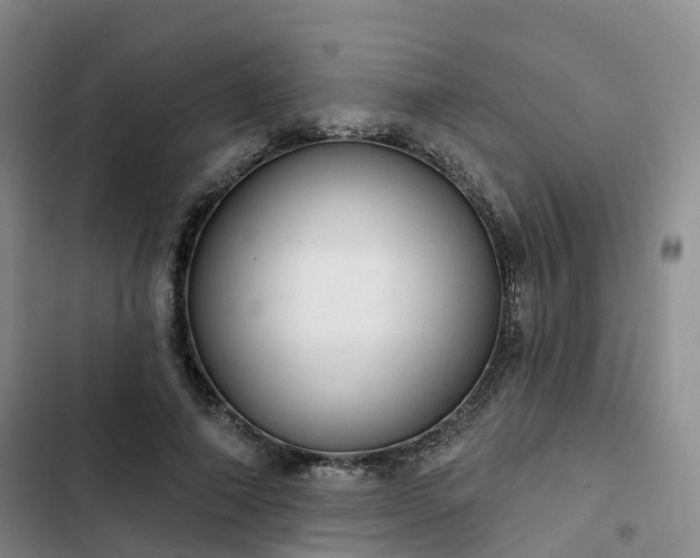 X0000102770690200808251052