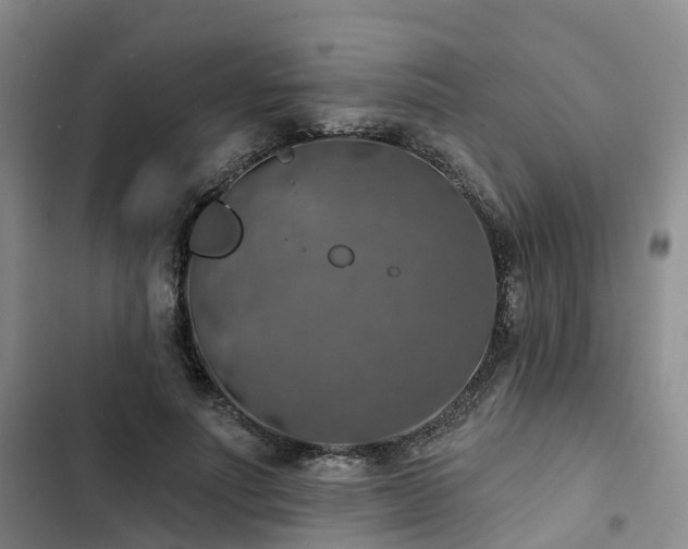 X0000102770691200808251052