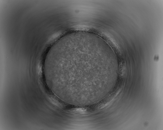 X0000102770692200808251052