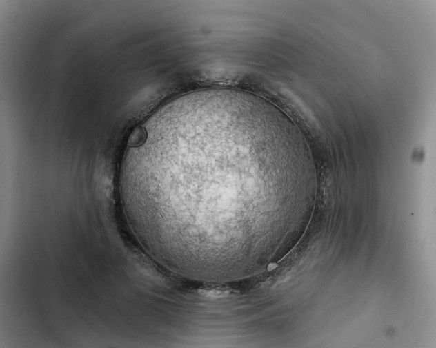 X0000102770693200808251052