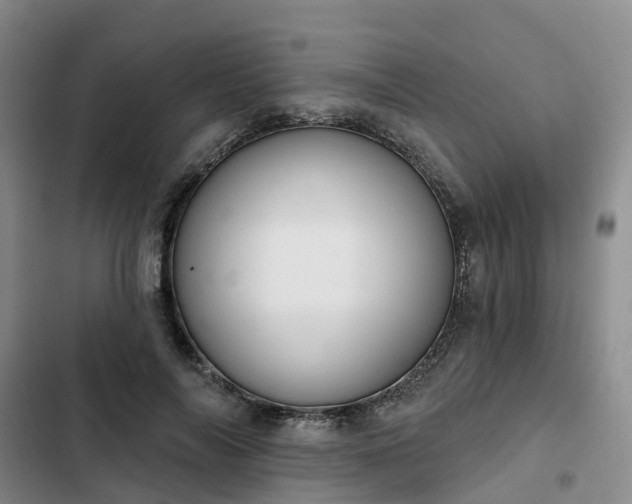 X0000102770694200808251052