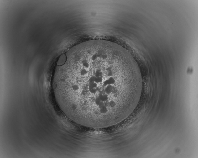 X0000102770695200808251052