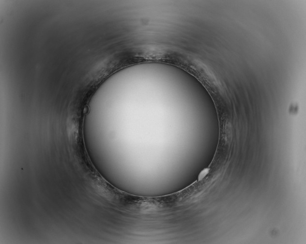 X0000102770697200808251052