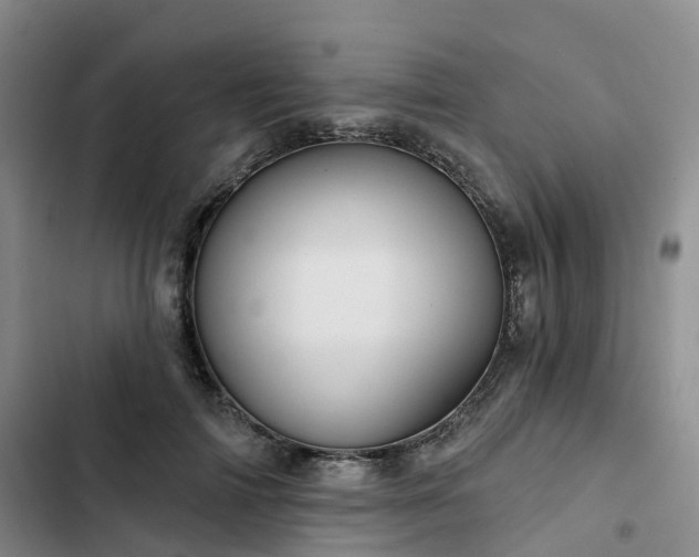 X0000102770698200808251052