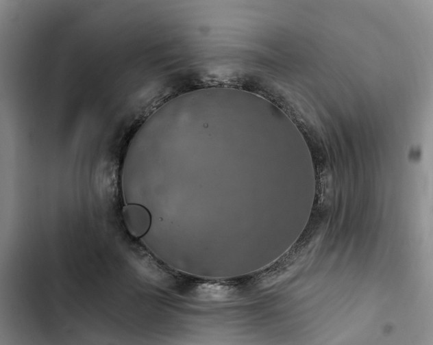 X0000102770699200808251052