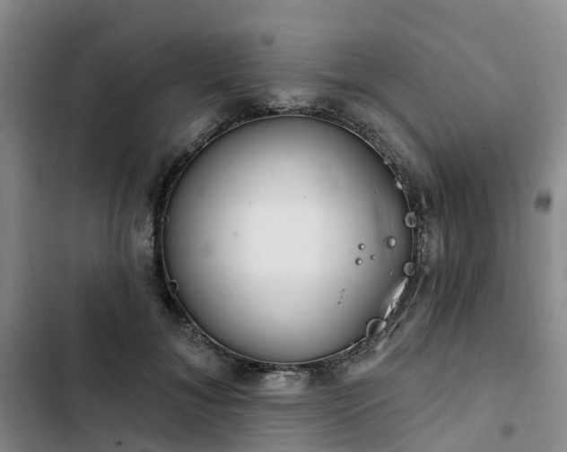 X0000102770700200808251052