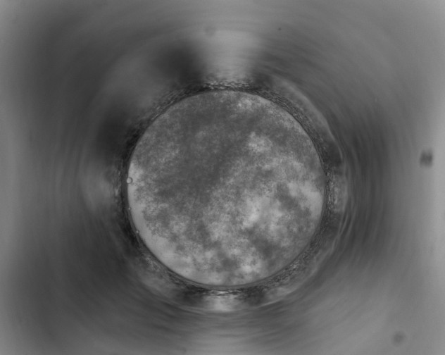 X0000102770701200808251052