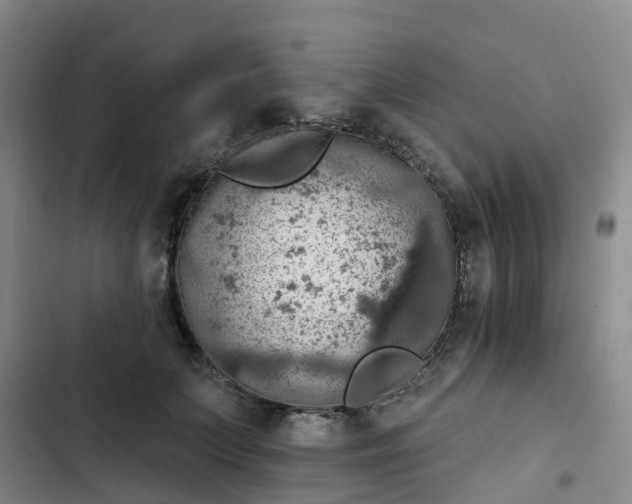 X0000102770703200808251052