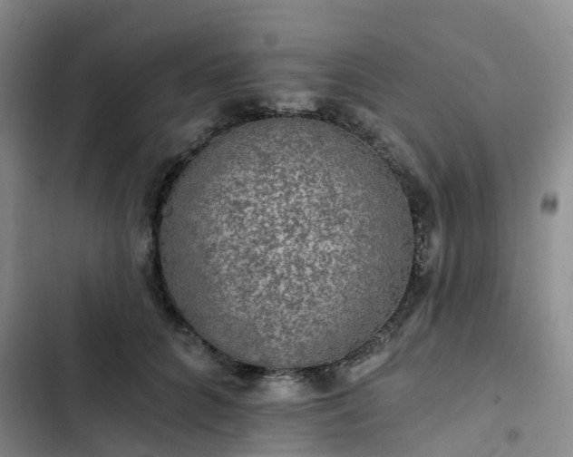 X0000102770704200808251052