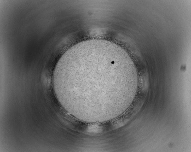 X0000102770705200808251052