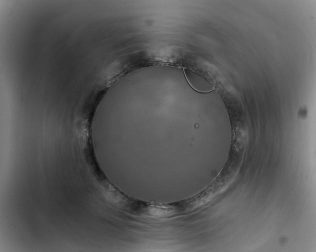 X0000102770707200808251052