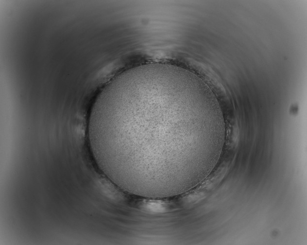 X0000102770710200808251052