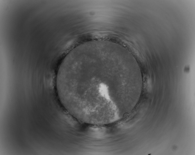 X0000102770712200808251052