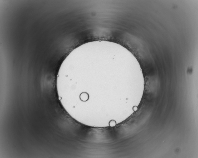 X0000102770713200808251052