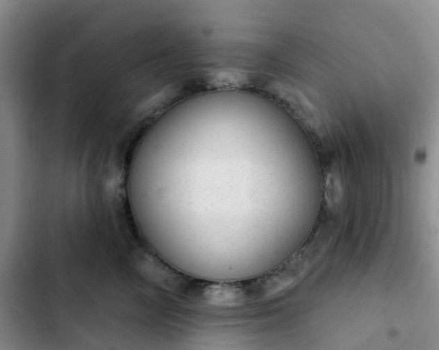 X0000102770714200808251052