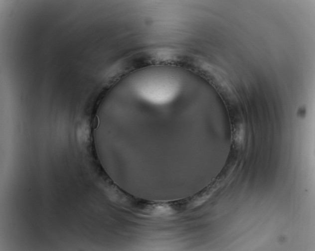 X0000102770715200808251052