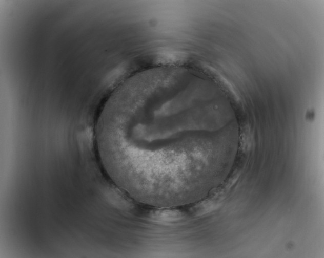 X0000102770716200808251052