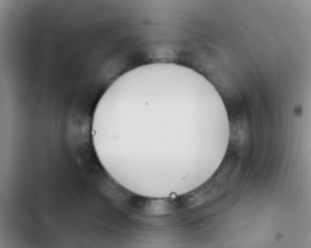 X0000102770717200808251052