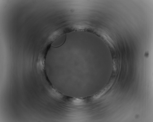 X0000102770718200808251052