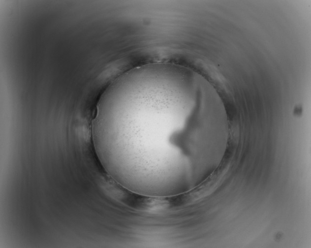 X0000102770719200808251052