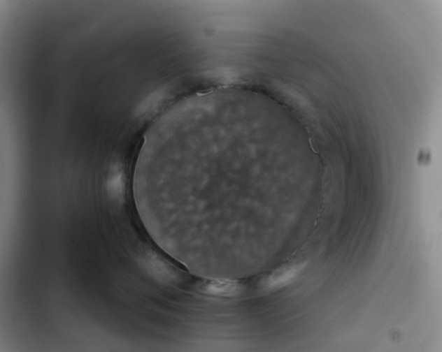 X0000102770720200808251052