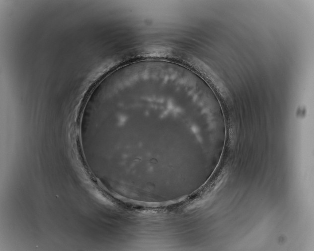 X0000102770721200808251051