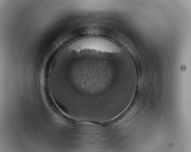 X0000102770722200808251051