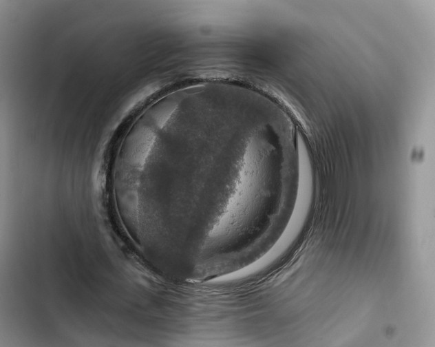 X0000102770723200808251051