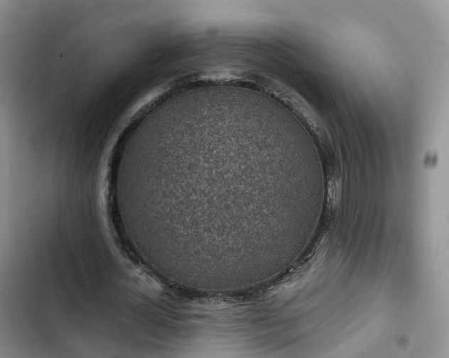 X0000102770724200808251051