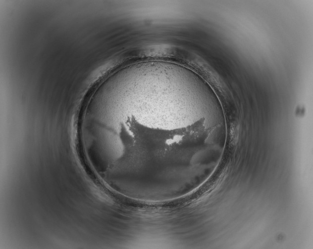 X0000102770725200808251051