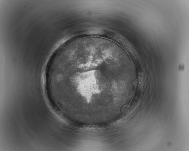 X0000102770726200808251051