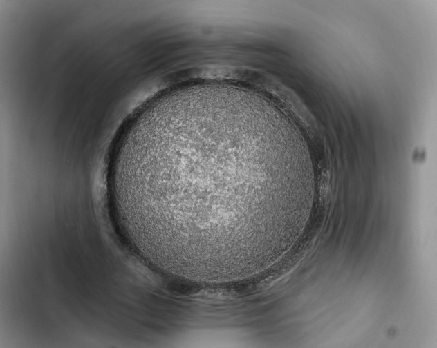 X0000102770727200808251051