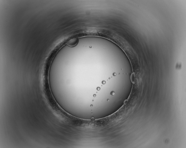 X0000102770728200808251051